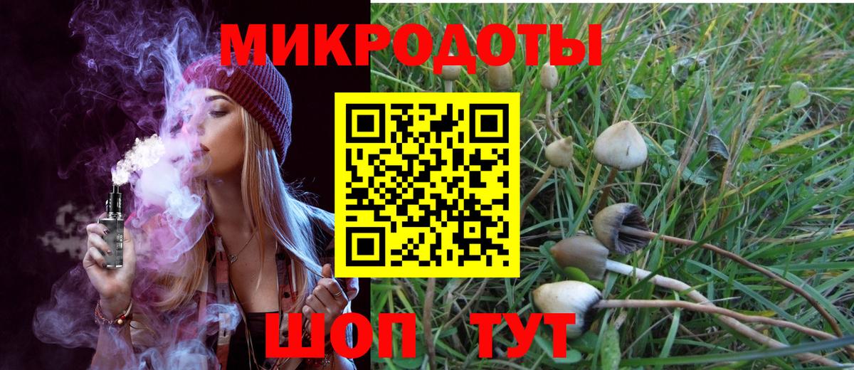 Псилоцибиновые грибы Cubensis  наркота  Новочеркасск  Вход с VPN  Галлюциногенные грибы Psilocybine cubensis 
